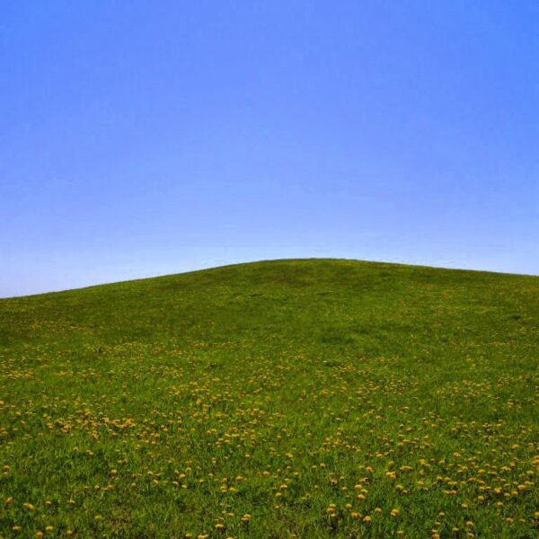 A kto wie czy za rogiem…