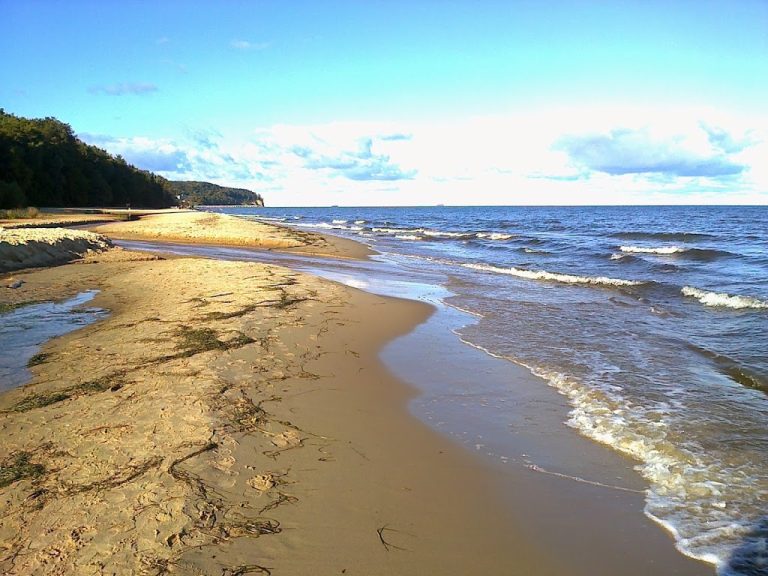 Read more about the article Nowa perspektywa