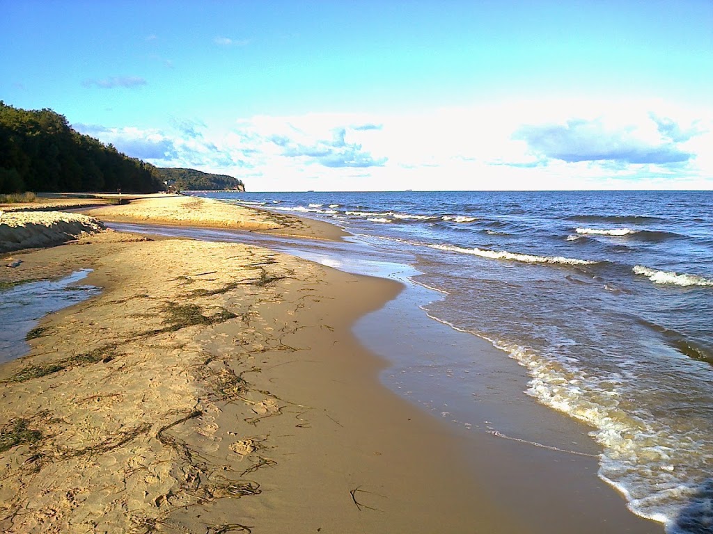 Read more about the article Nowa perspektywa