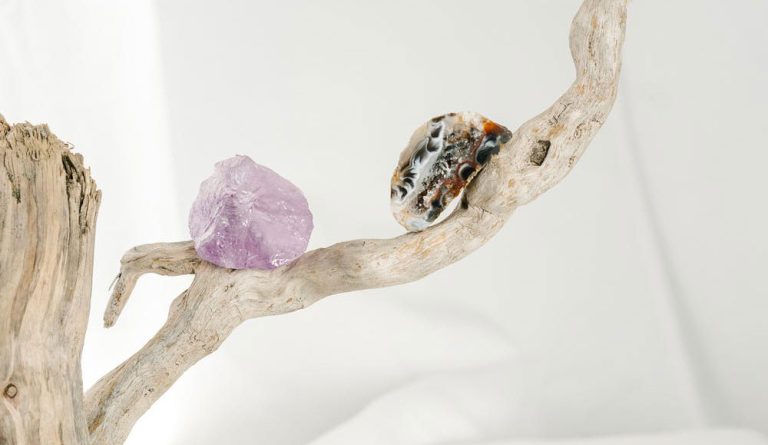 Read more about the article Kamienie żyją