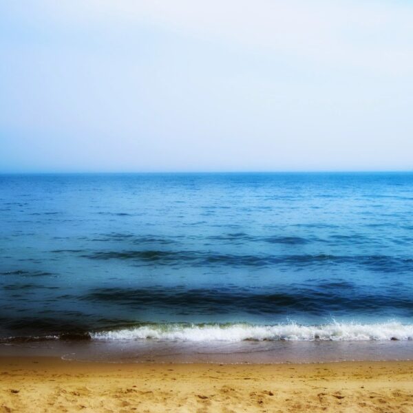 Morza szum, żar tropików i habisie