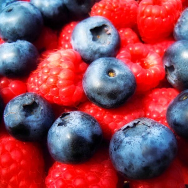 Filozofia odżywiania