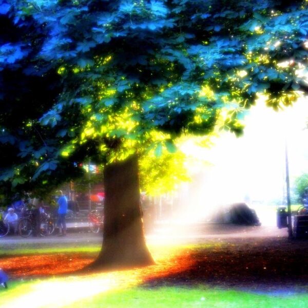 O planach, cierpliwości bądź jej braku i paru innych sprawach