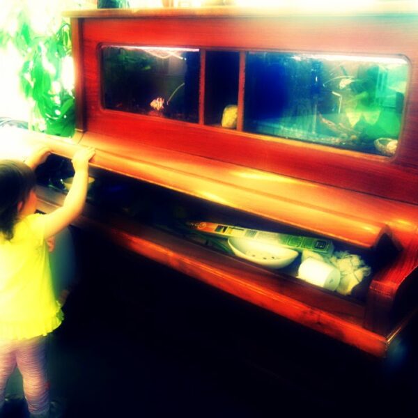 Wewnętrzna kontemplacja