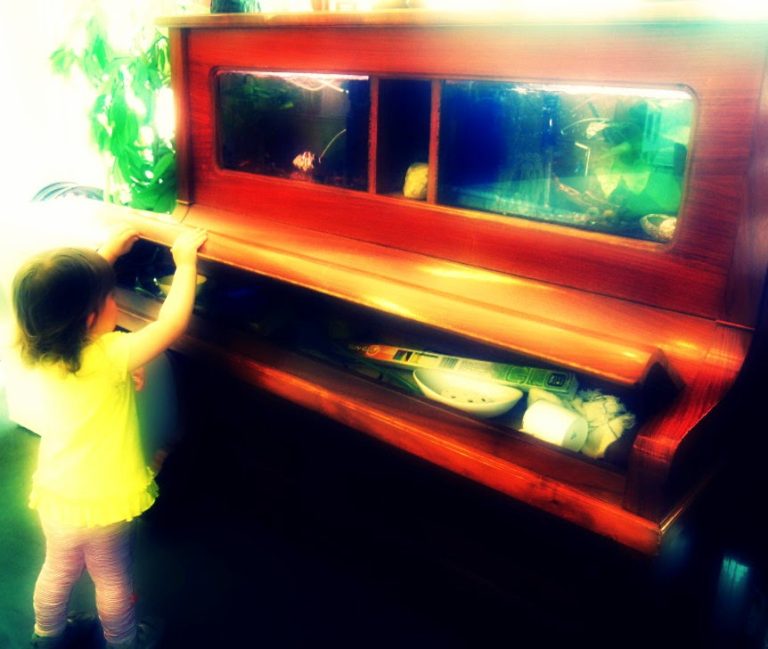 Read more about the article Wewnętrzna kontemplacja