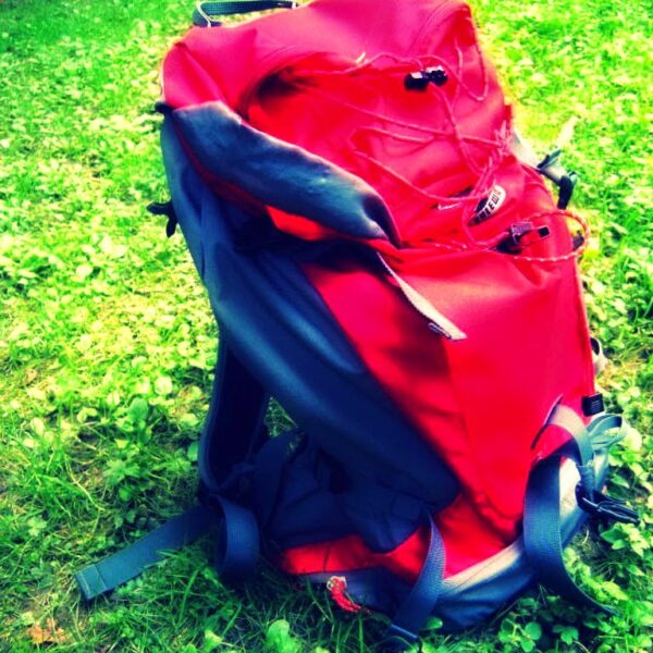 Aloha-światowe wnioski