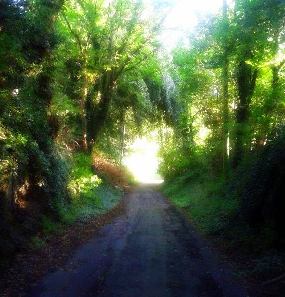 Intuicyjne wystrzały