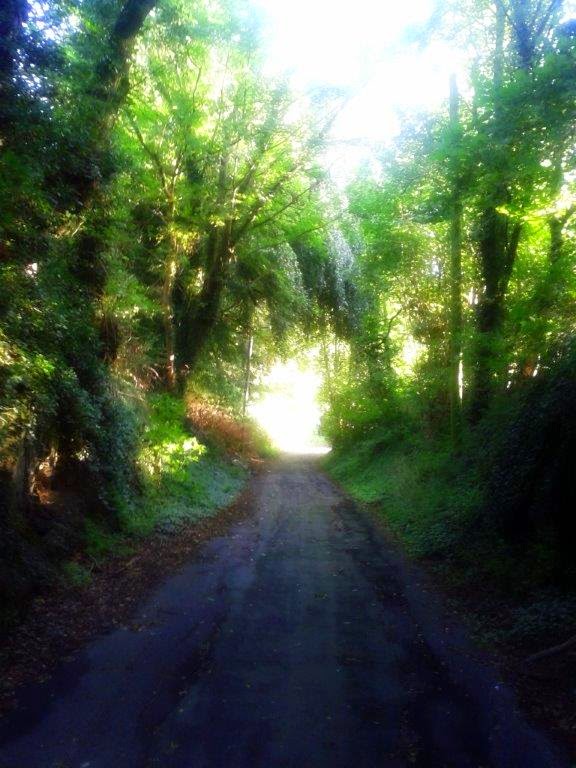 Read more about the article Intuicyjne wystrzały