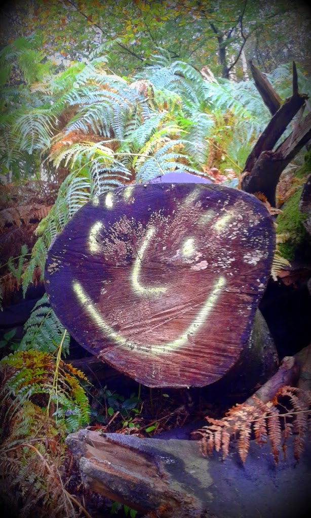 Read more about the article Żyjesz?