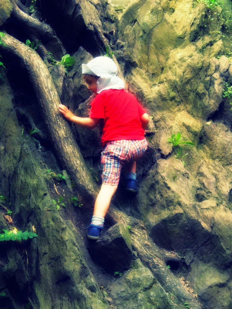 Read more about the article No to w górę!