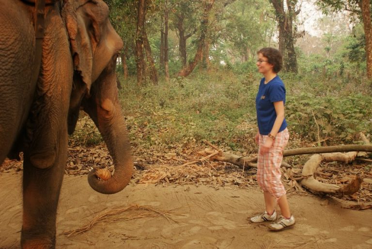 Read more about the article Mój brat Słoń