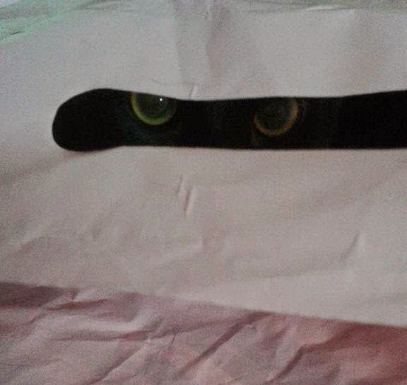 Read more about the article Nie boi się pani?