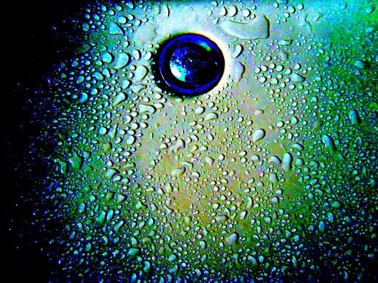 Read more about the article Mozaika życia