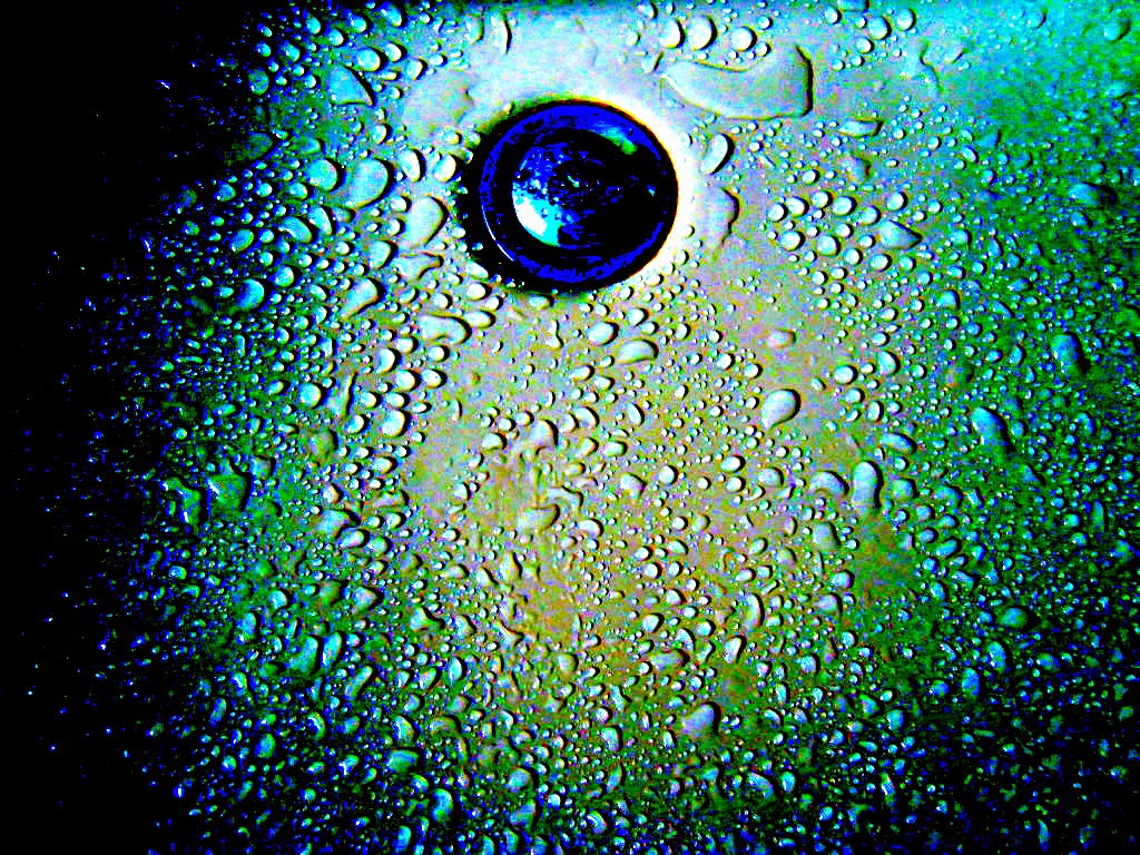 Read more about the article Mozaika życia