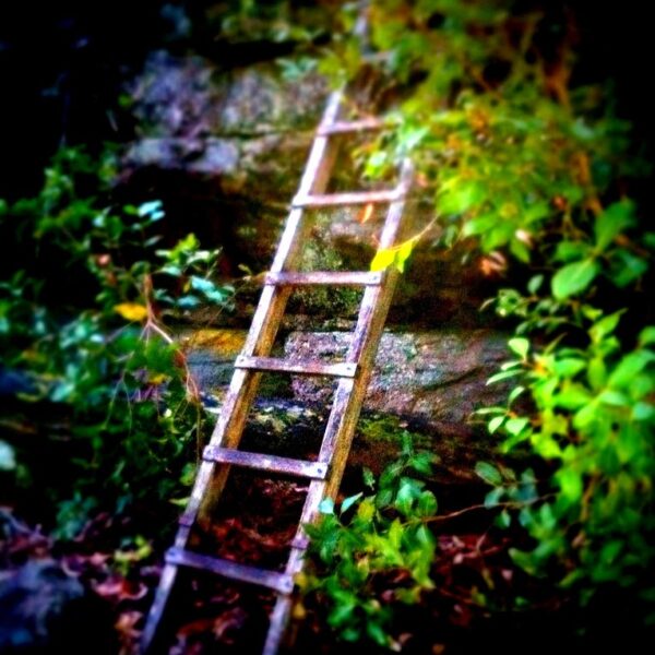 Gdzie stoi Twoja drabina?