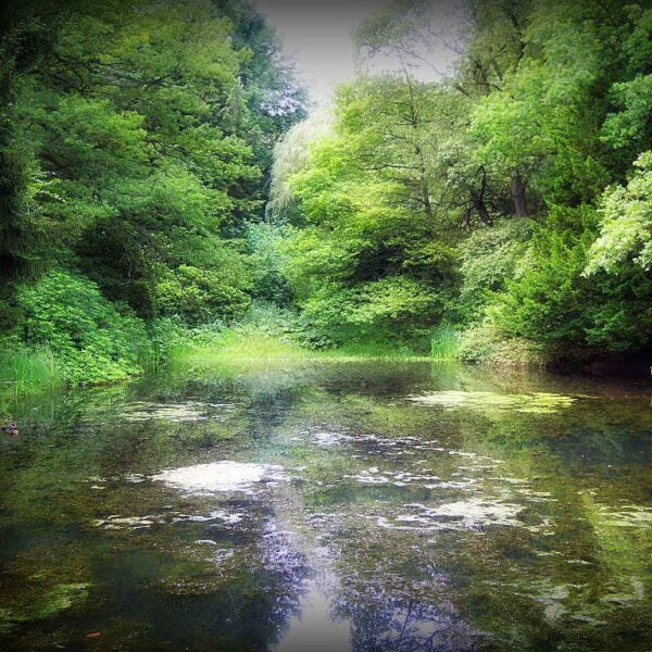 TUTAJ znajdziesz TERAZ