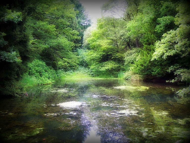 Read more about the article TUTAJ znajdziesz TERAZ