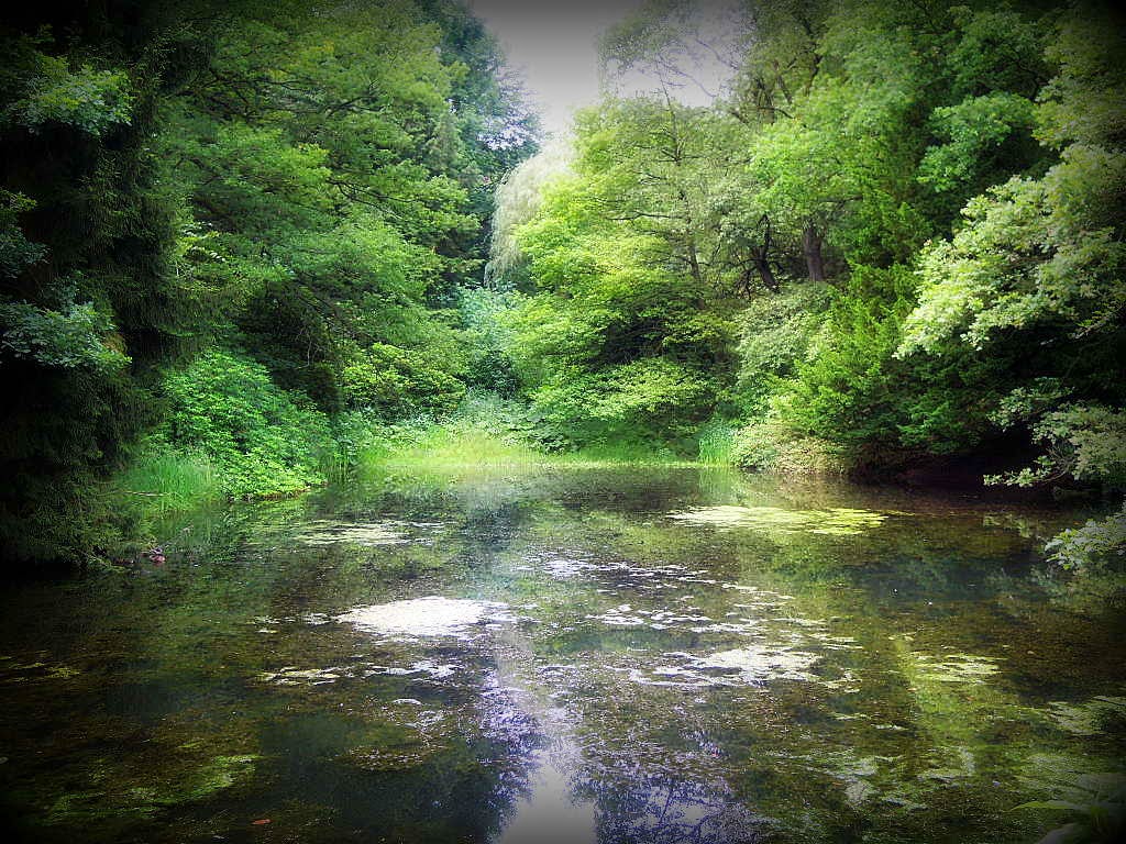 Read more about the article TUTAJ znajdziesz TERAZ