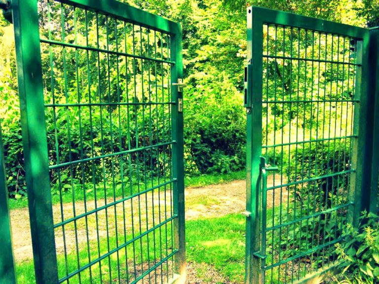 Read more about the article W drodze