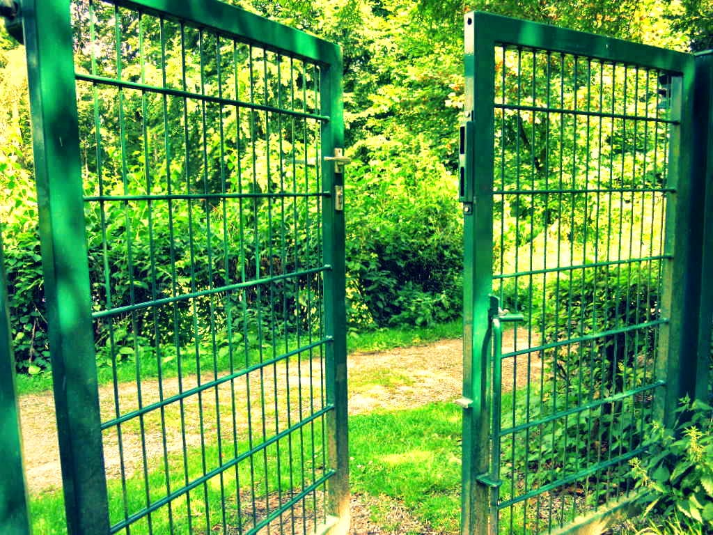 Read more about the article W drodze