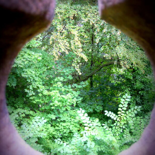 Podglądanie dobrego