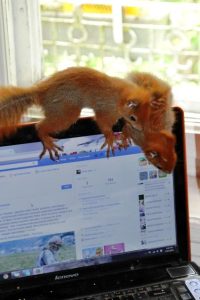 11072816_466319930193288_9064984156372706712_n