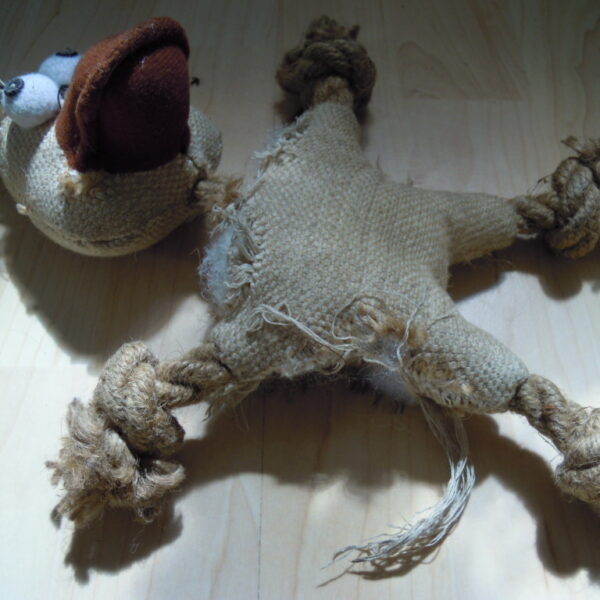 A wcale że bo nie…