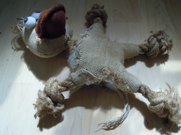 Read more about the article A wcale że bo nie…