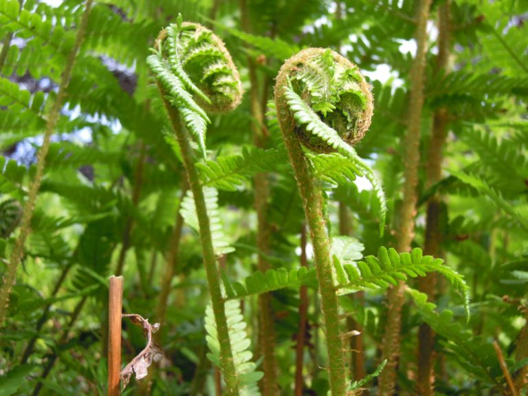 Read more about the article Doceniam!