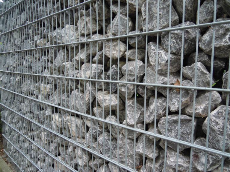 Read more about the article Iść?