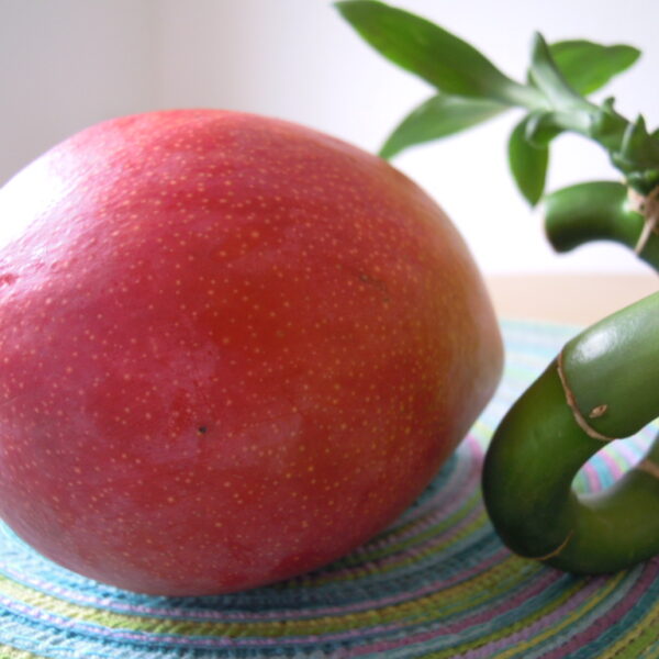 Historia pewnego nasionka…