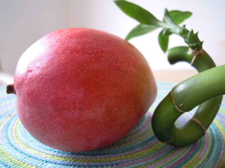 Read more about the article Historia pewnego nasionka…