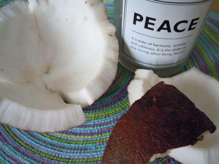 Read more about the article Koniec kłamstw!