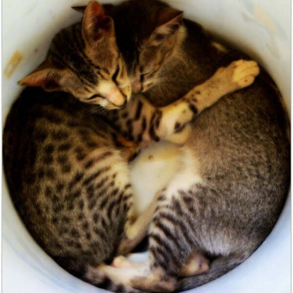 Być dla siebie WSZYSTKIM