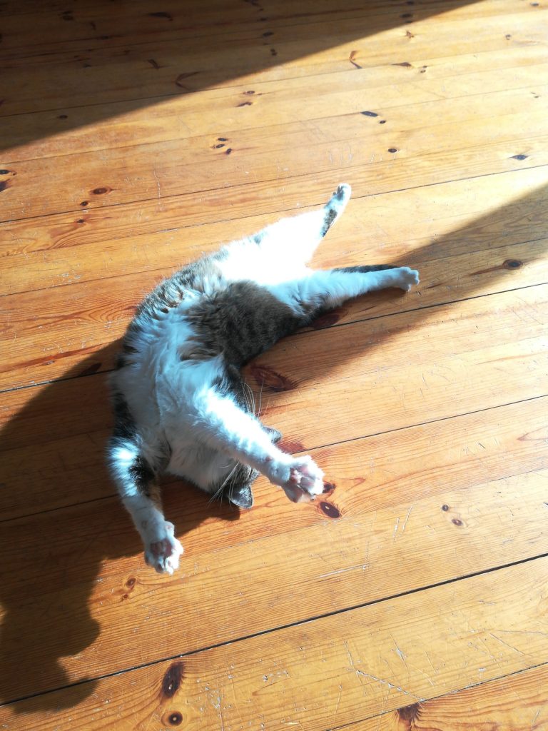 Read more about the article Przyjemność