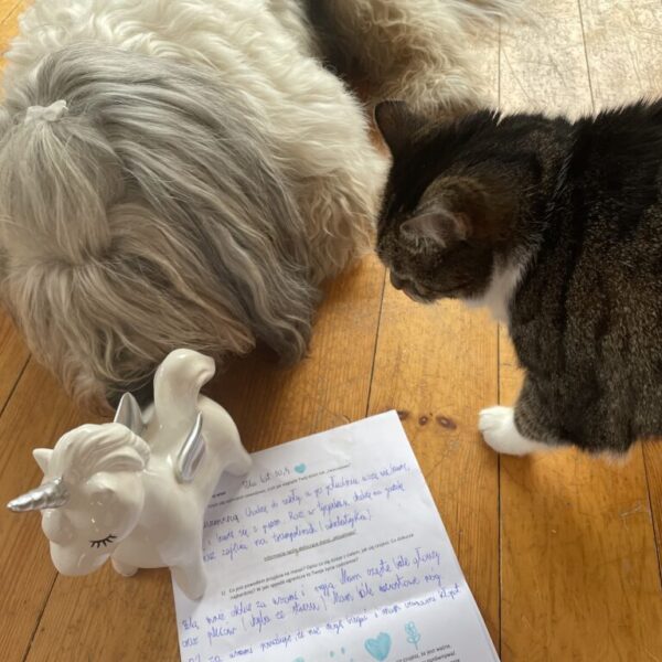 Serduszka na karcie pacjenta