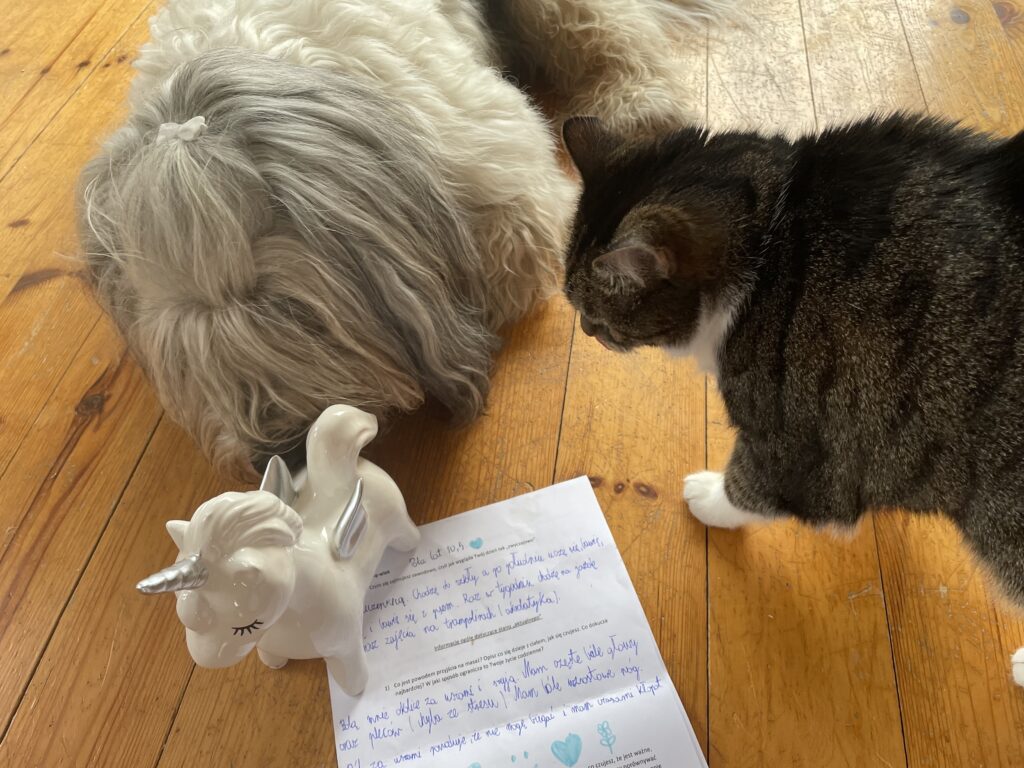 Read more about the article Serduszka na karcie pacjenta