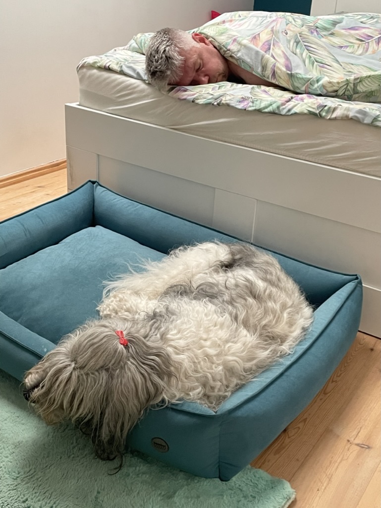 Read more about the article Masaż dla chorych