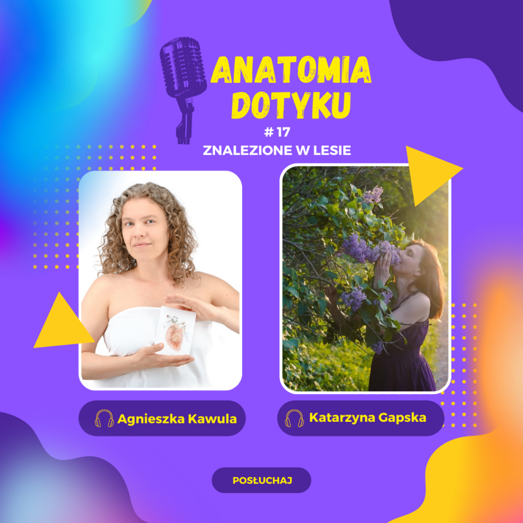 Read more about the article Znalezione w lesie