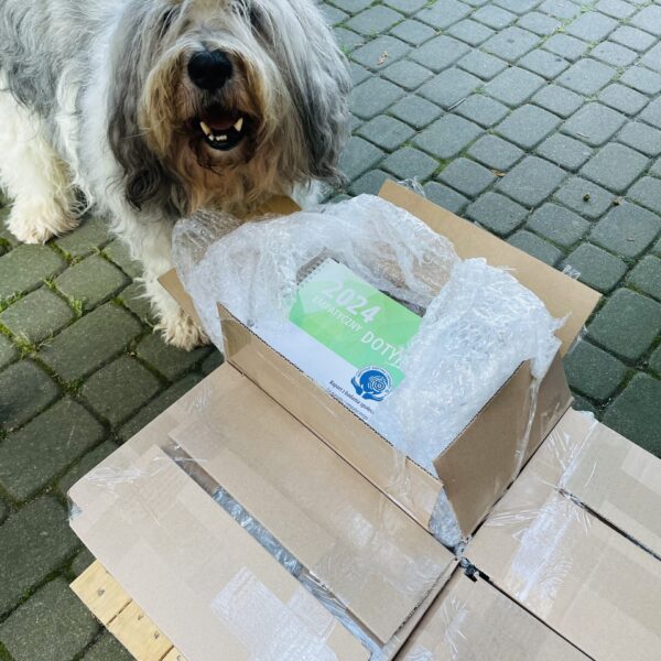 Nie taka krótka historia puckich badań nad dotykiem